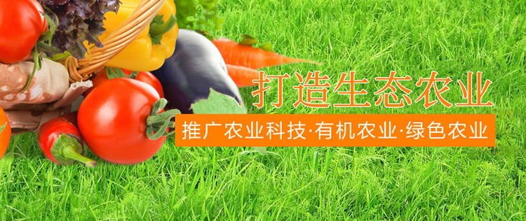 &#20048;&#25237;&#22312;&#32447;&#45;&#20048;&#25237;&#22312;&#32447;&#40;&#20013;&#22269;&#41;