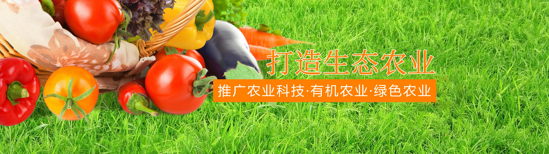 &#20048;&#25237;&#22312;&#32447;&#45;&#20048;&#25237;&#22312;&#32447;&#40;&#20013;&#22269;&#41;